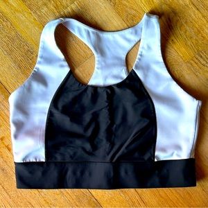 Karina Fabletics Sports Bra 2X